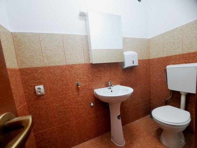 Mosilor/ Stefan cel Mare, vila, p+1 duplex, 4 camere